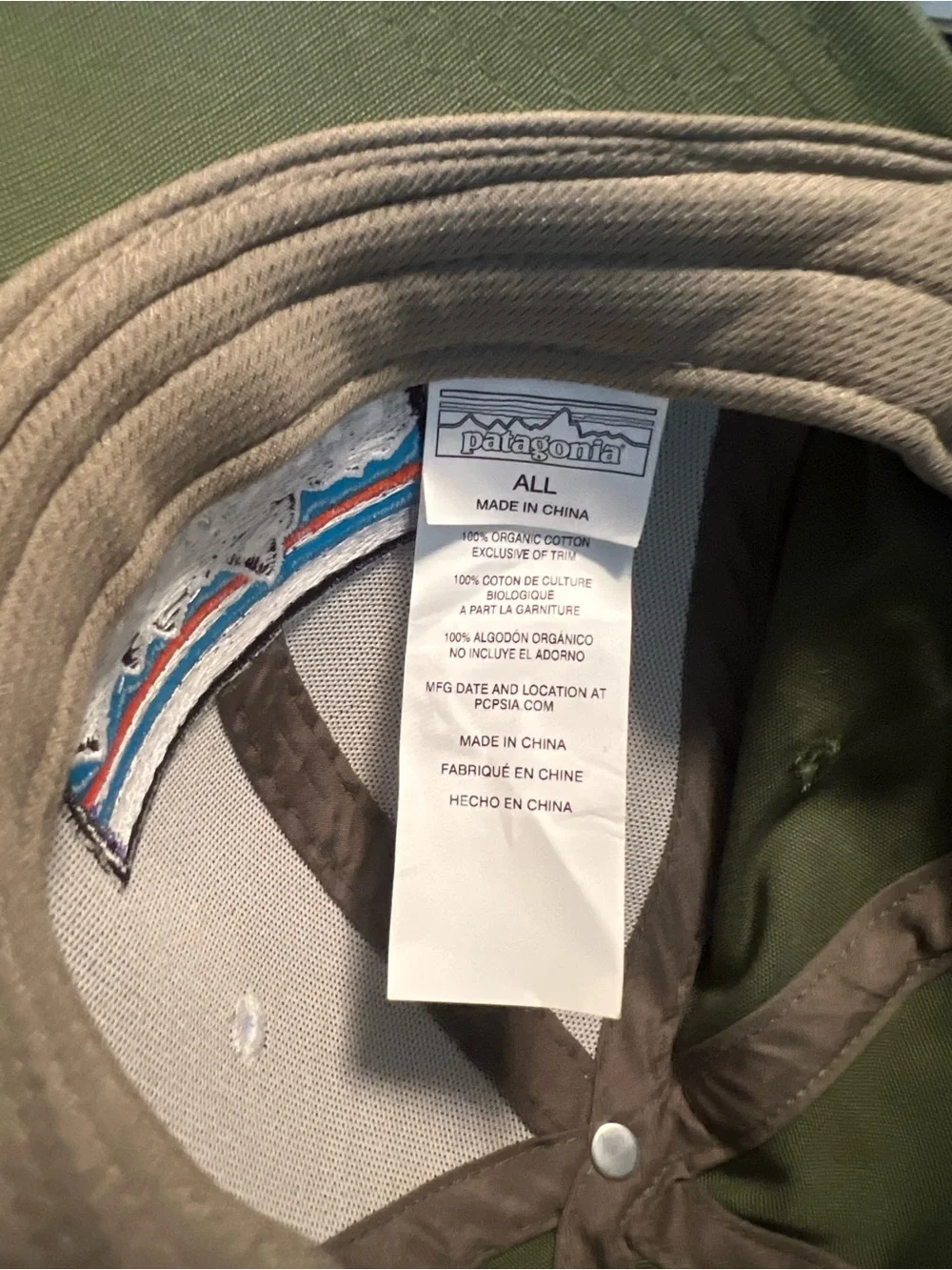 Patagonia Logo Cap